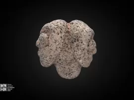 Descubre las propiedades y significado de la impresionante piedra volcánica negra