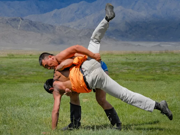 competencias especificas lomloe