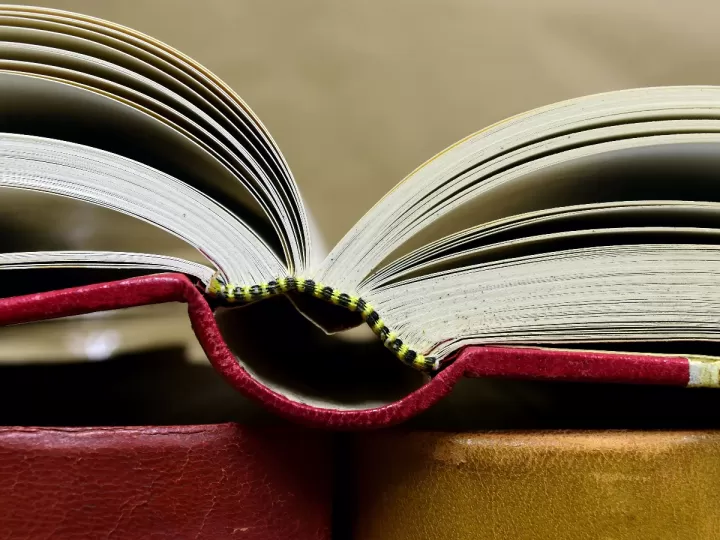 conocimiento del medio 1 primaria santillana pdf