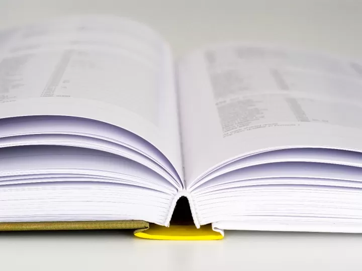 cuanto se tarda en leer 100 paginas