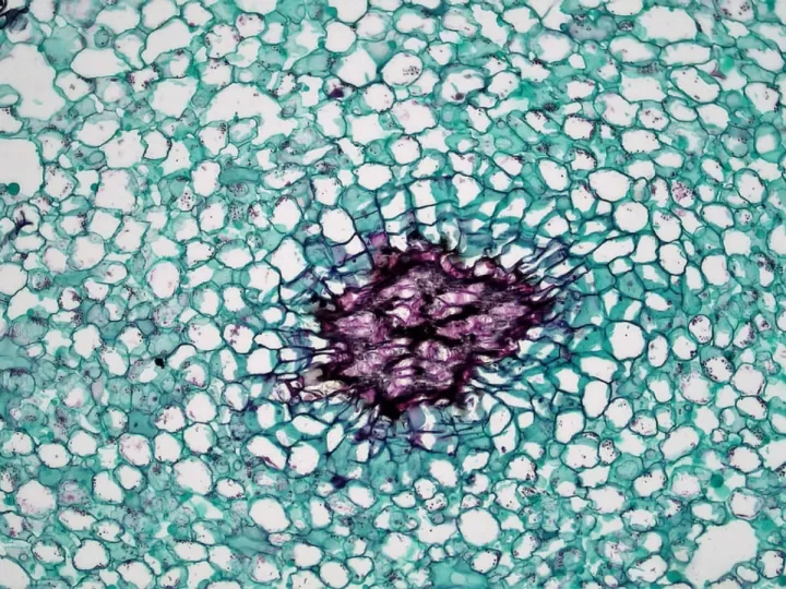 estequiometria 1 bachillerato