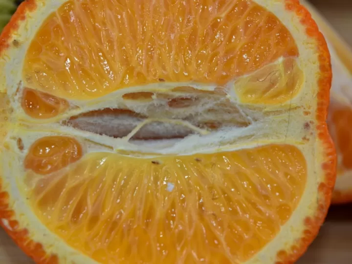 fragmento de la celestina