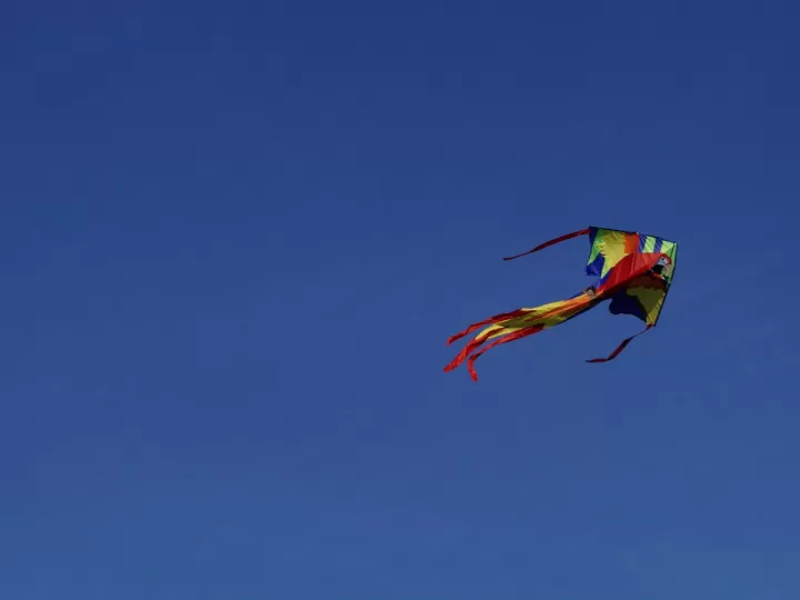 poemas vivir para volar