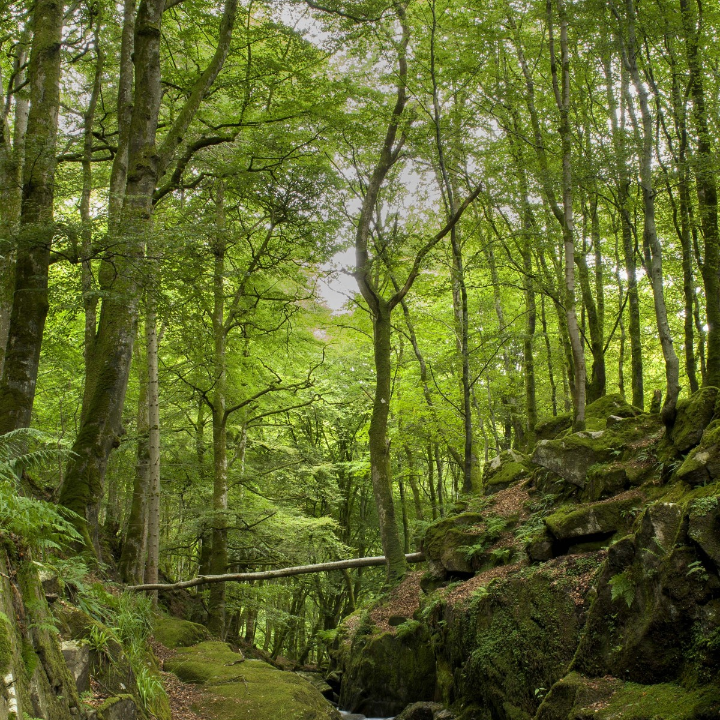 Ropa con j: moda y estilo que comienza con esta letra