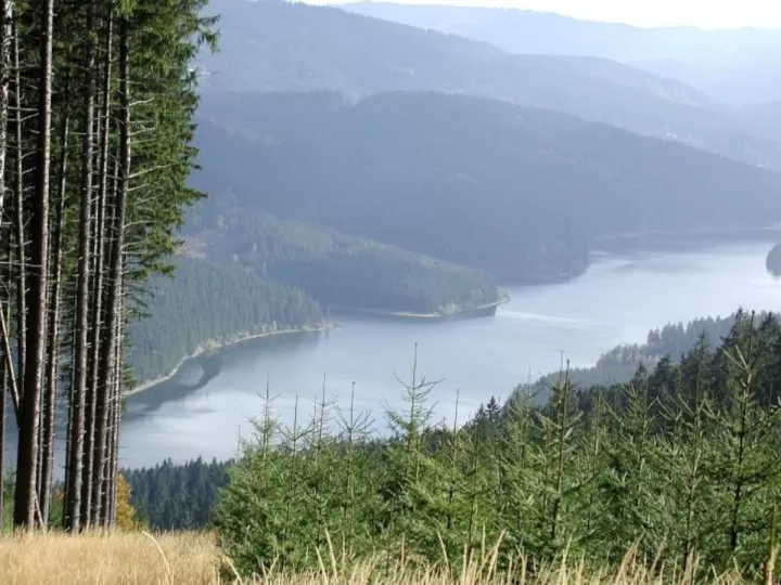 solucionario fisica y quimica 1 bachillerato mc graw hill