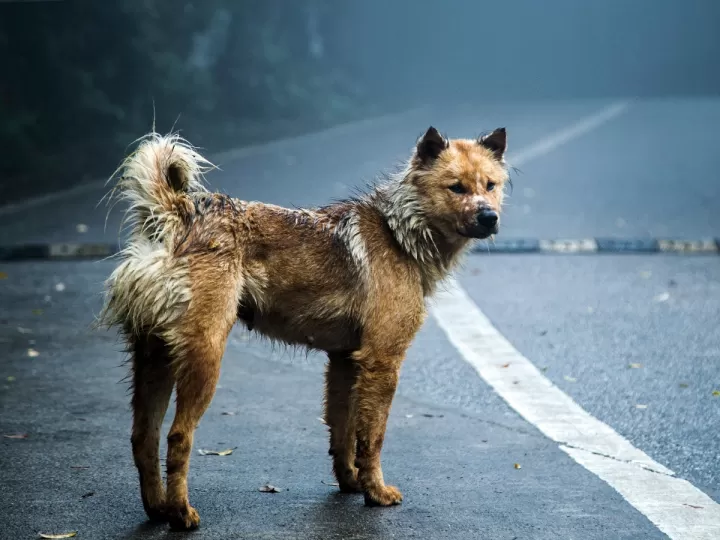 solucionario workbook 1 bachillerato burlington books