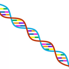 Descubre qué es la teoría genética y su importancia | Resúmenes
