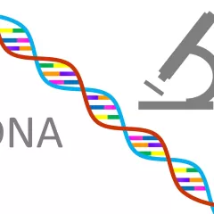 Origen y relevancia del ADN en distintas áreas de estudio científico