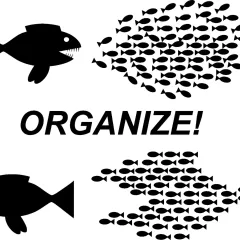 Que Es La Teoria De La Organizacion